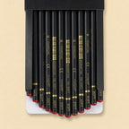 12 Soft-grade charcoal pencils fanned out in open box