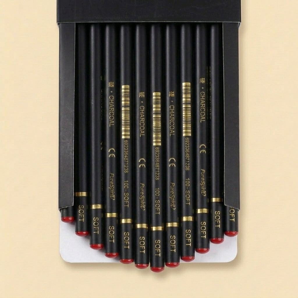 12 Soft-grade charcoal pencils fanned out in open box